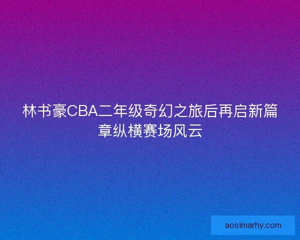 林书豪CBA二年级奇幻之旅后再启新篇章纵横赛场风云